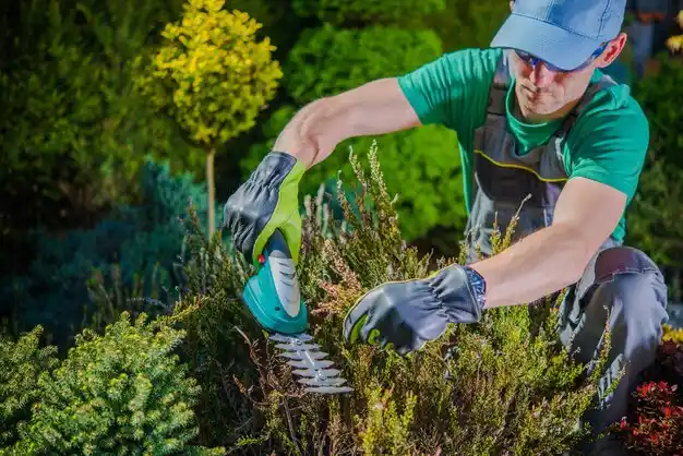 landscaping services Walker Valley